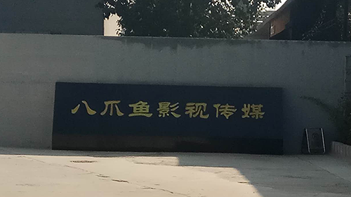 八爪鱼